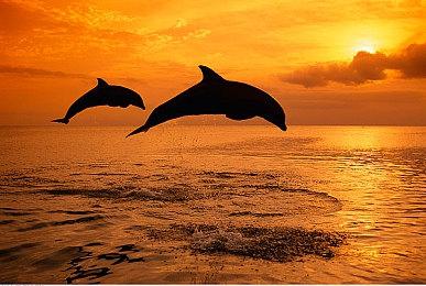 《星刃》大获成功后 韩国政府将押注3A主机游戏