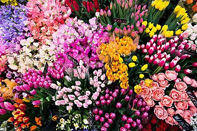 《夜下降生2》PS5＆PS4公测定于11＆17-20进行